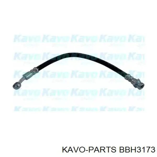 BBH3173 Kavo Parts tubo flexible de frenos trasero derecho