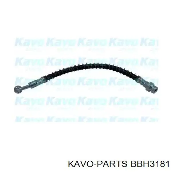 BBH-3181 Kavo Parts latiguillo de freno delantero