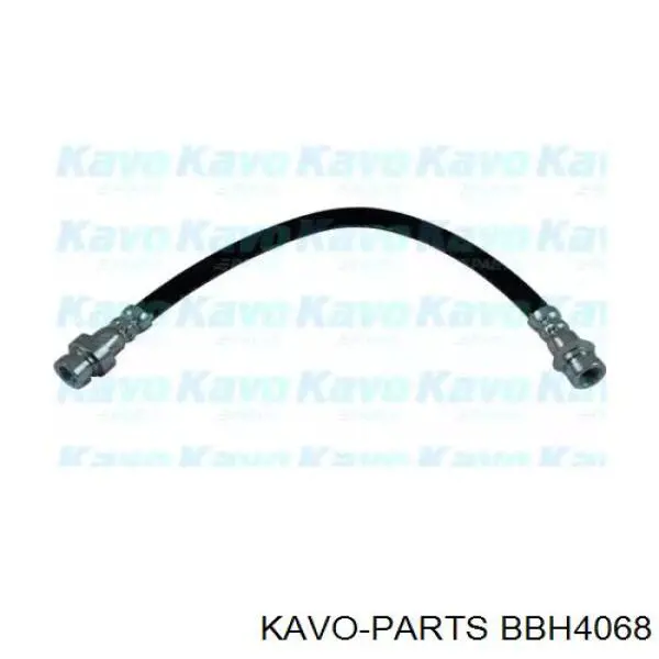 BBH-4068 Kavo Parts latiguillos de freno trasero derecho