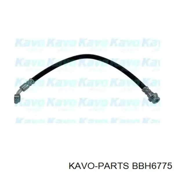 BBH-6775 Kavo Parts tubo flexible de frenos delantero derecho