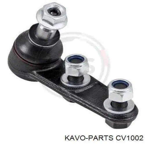 CV-1002 Kavo Parts junta homocinética exterior delantera