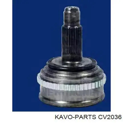 Comprar 400729 Trakmotive/Surtrack Junta homocinetica