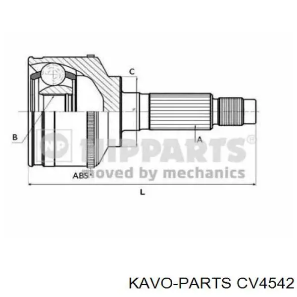 CV-4542 Kavo Parts junta homocinética exterior delantera