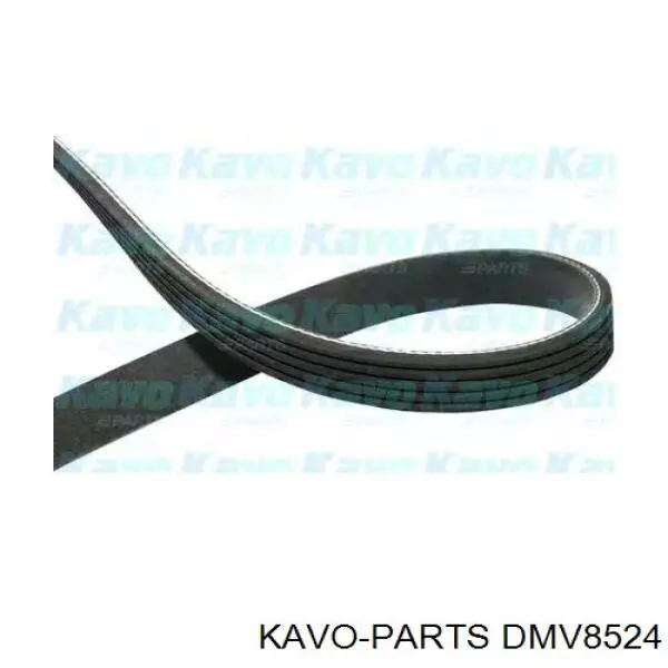 Correa de transmisión trapezoidal Hyundai/Kia 2521203050 precio, desde 20,99 EUR