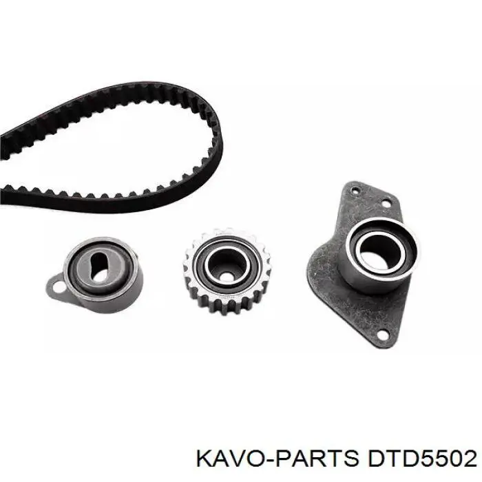Tensor de la correa de distribución DTD5502 Kavo Parts