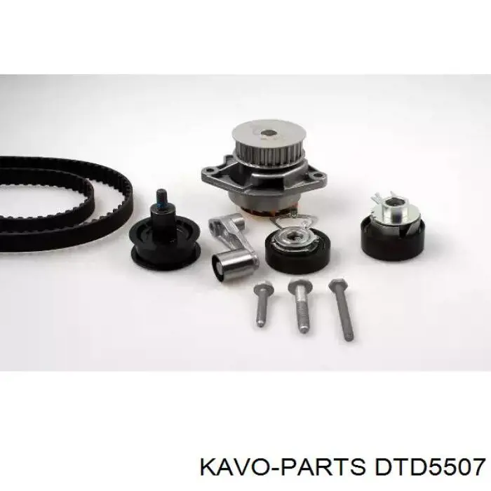Tensor, correa de distribucion DTD5507 Kavo Parts
