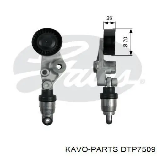 S110G02 NPS Tensor de correa de alternador