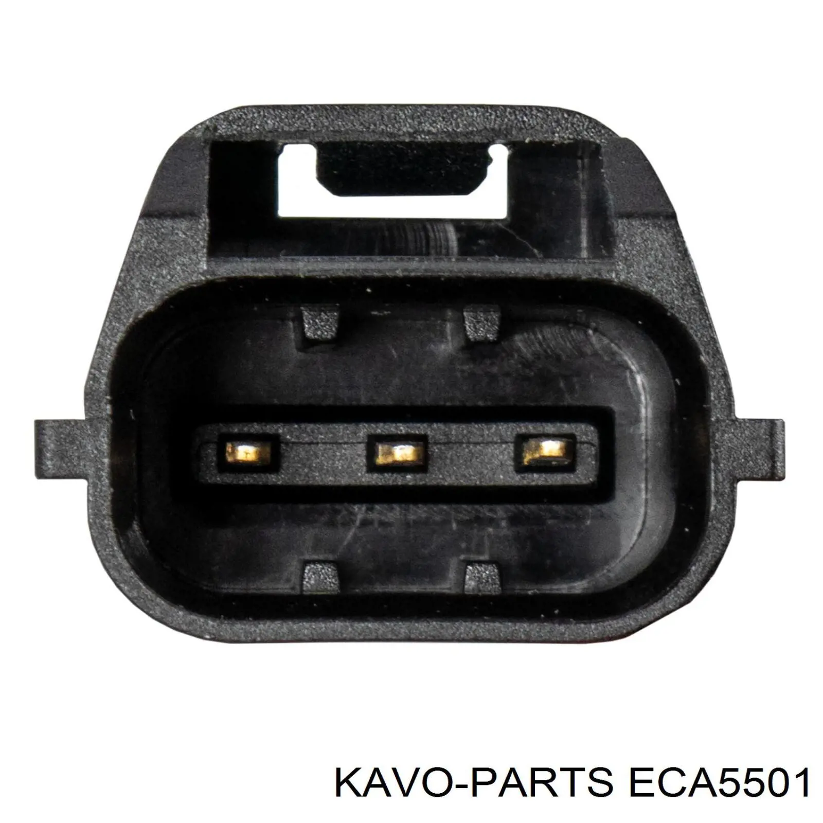 Sensor de árbol de levas Kavo Parts ECA5501 precio, desde 37,58 EUR