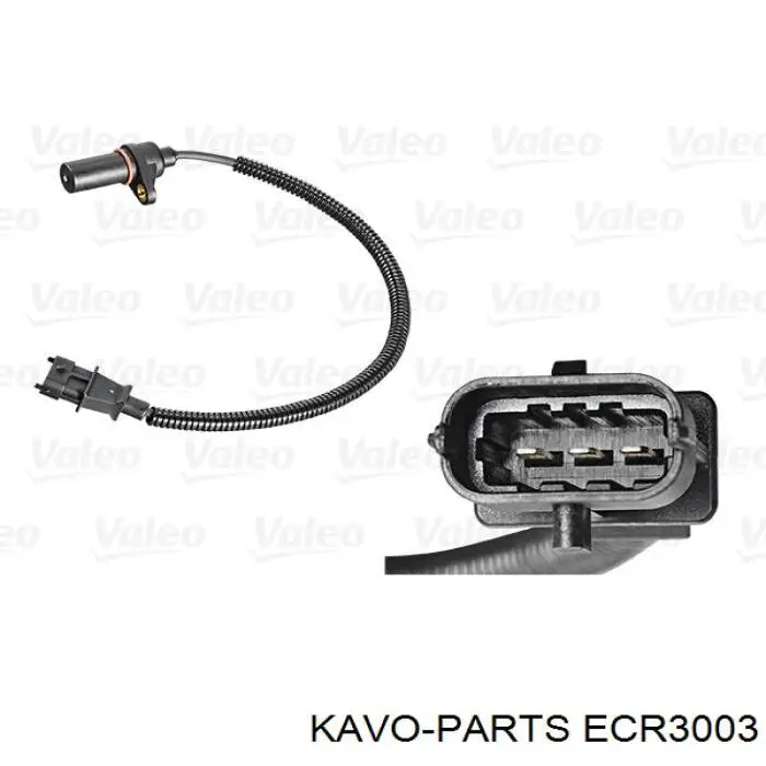 ECR-3003 Kavo Parts sensor de cigüeñal