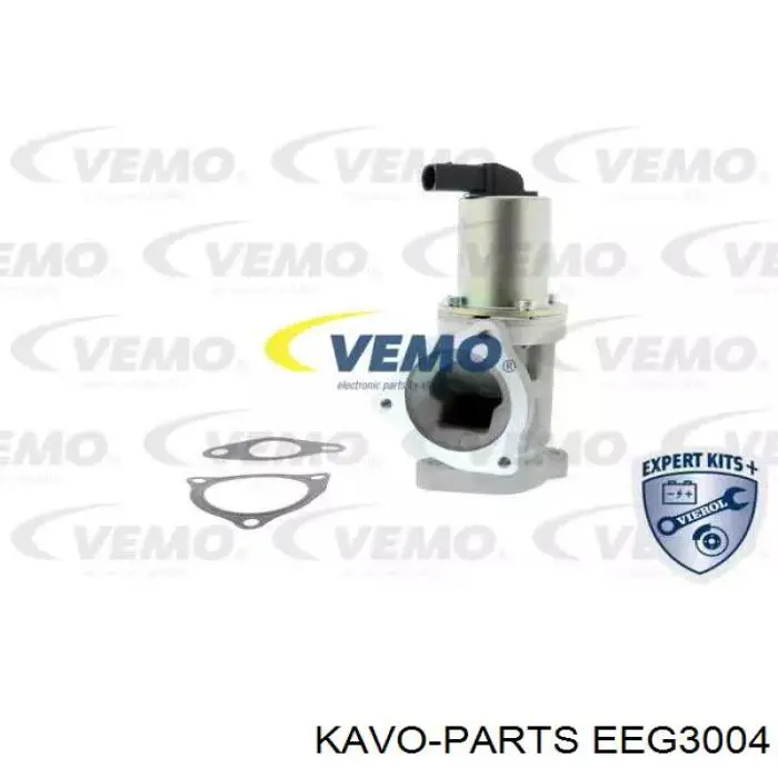 EEG3004 Kavo Parts válvula, agr