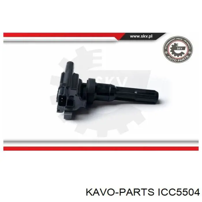 ICC5504 Kavo Parts bobina