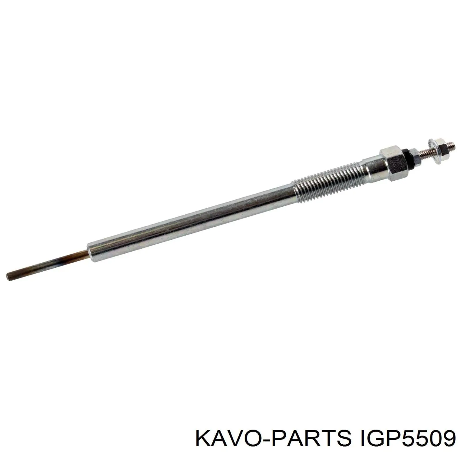 IGP-5509 Kavo Parts bujía de incandescencia