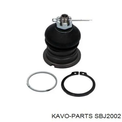 SBJ-2002 Kavo Parts rótula de suspensión superior