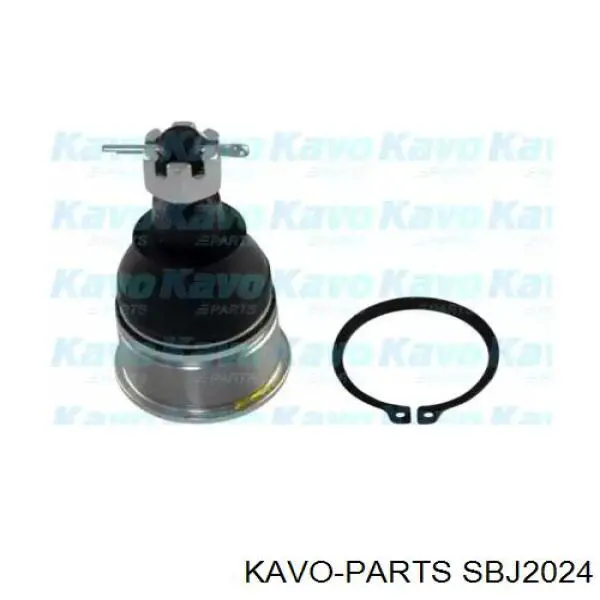SBJ-2024 Kavo Parts rótula de suspensión inferior