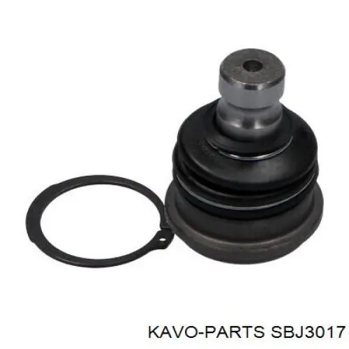 SBJ-3017 Kavo Parts rótula de suspensión inferior