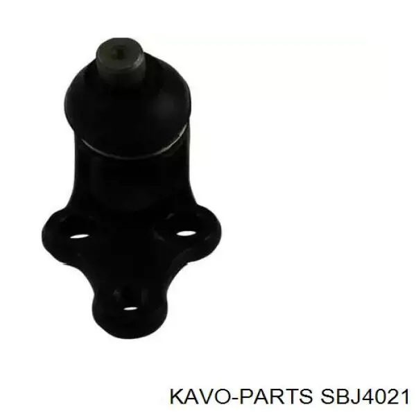 SBJ-4021 Kavo Parts rótula de suspensión inferior