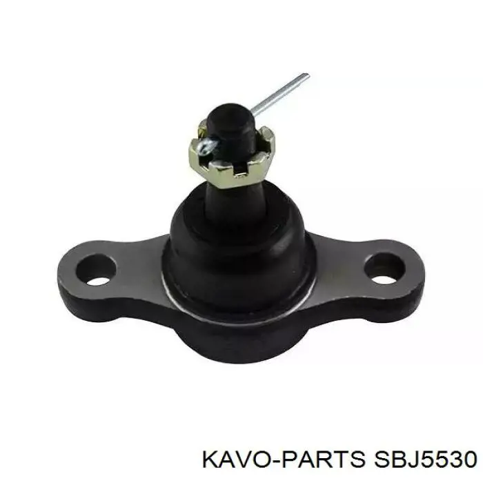 SBJ5530 Kavo Parts