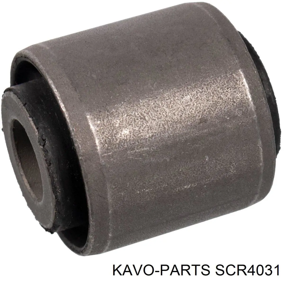 SCR-4031 Kavo Parts suspensión, barra transversal trasera, interior