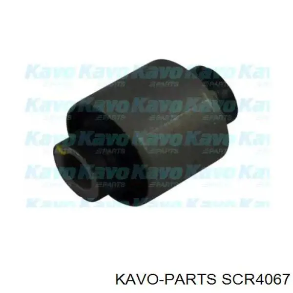 SCR-4067 Kavo Parts silentblock de brazo suspensión trasero transversal