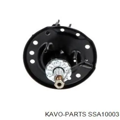 SSA-10003 Kavo Parts amortiguador delantero derecho