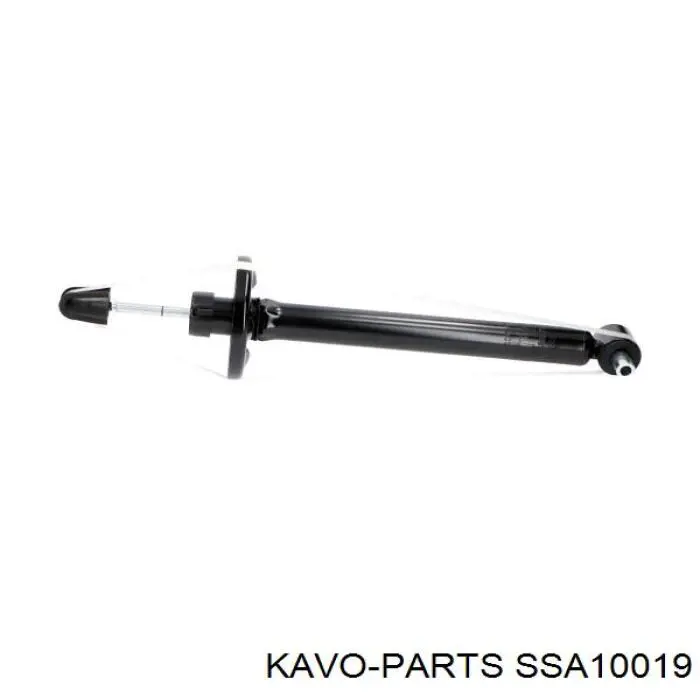 SSA-10019 Kavo Parts amortiguador trasero