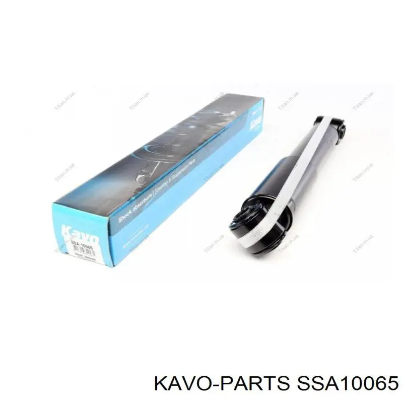 SSA-10065 Kavo Parts amortiguador trasero