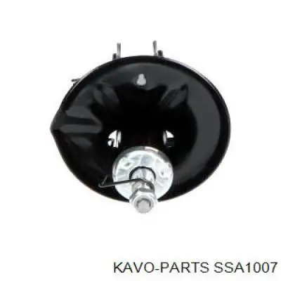 SSA-1007 Kavo Parts amortiguador delantero derecho