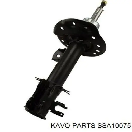 SSA10075 Kavo Parts amortiguador trasero
