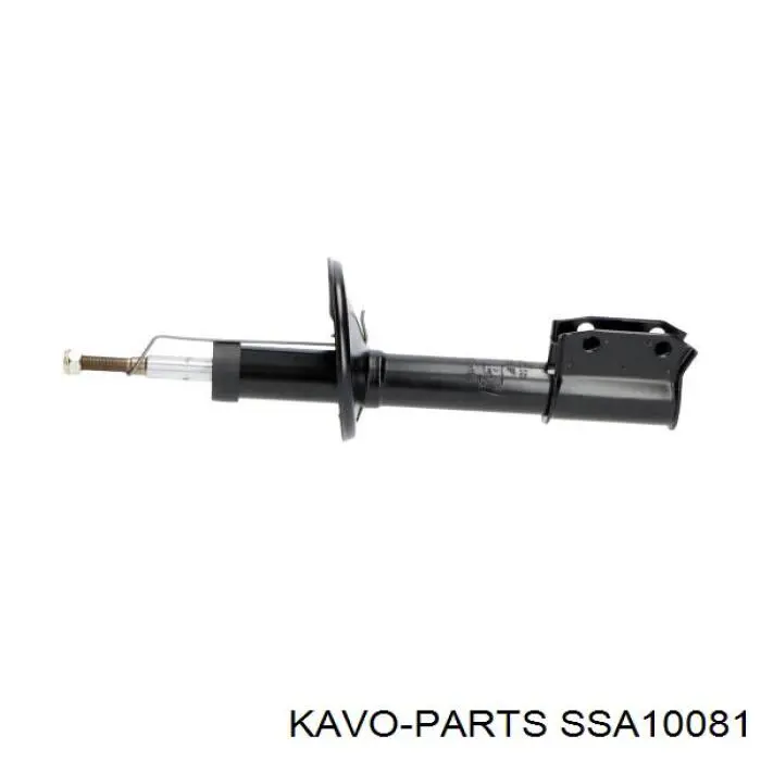 SSA-10081 Kavo Parts amortiguador delantero