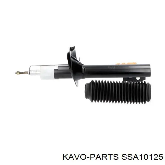 SSA-10125 Kavo Parts amortiguador delantero