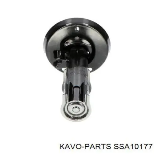 SSA-10177 Kavo Parts amortiguador delantero derecho