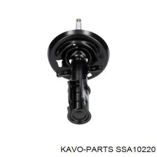 SSA-10220 Kavo Parts amortiguador delantero