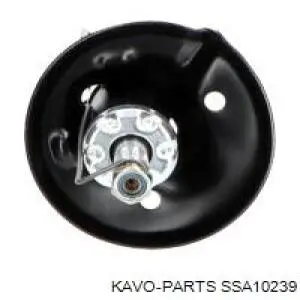 SSA-10239 Kavo Parts amortiguador delantero
