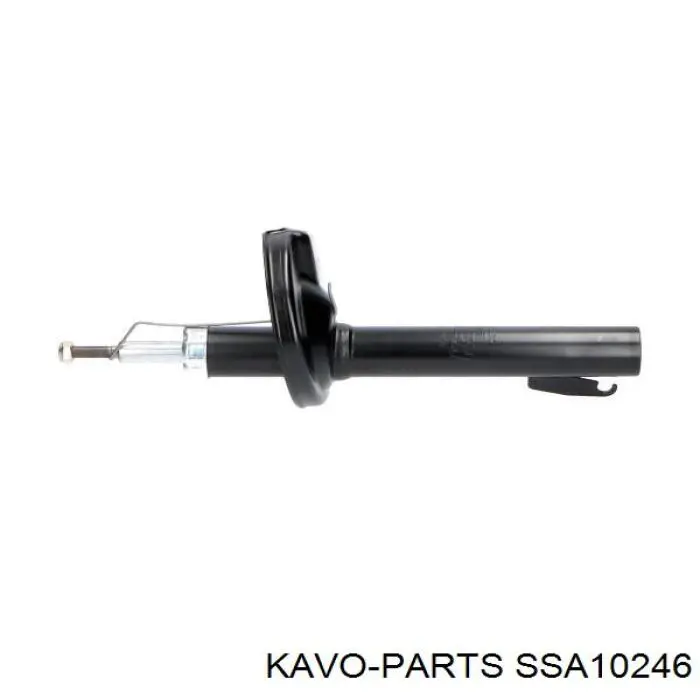 SSA-10246 Kavo Parts amortiguador delantero