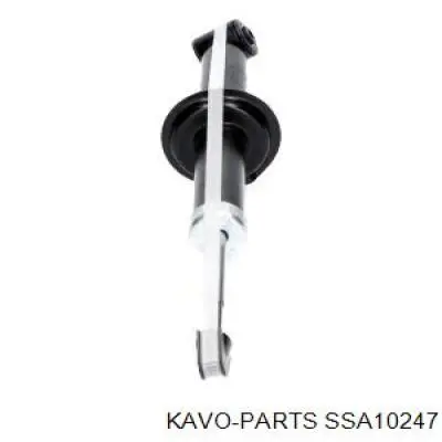 SSA-10247 Kavo Parts amortiguador trasero
