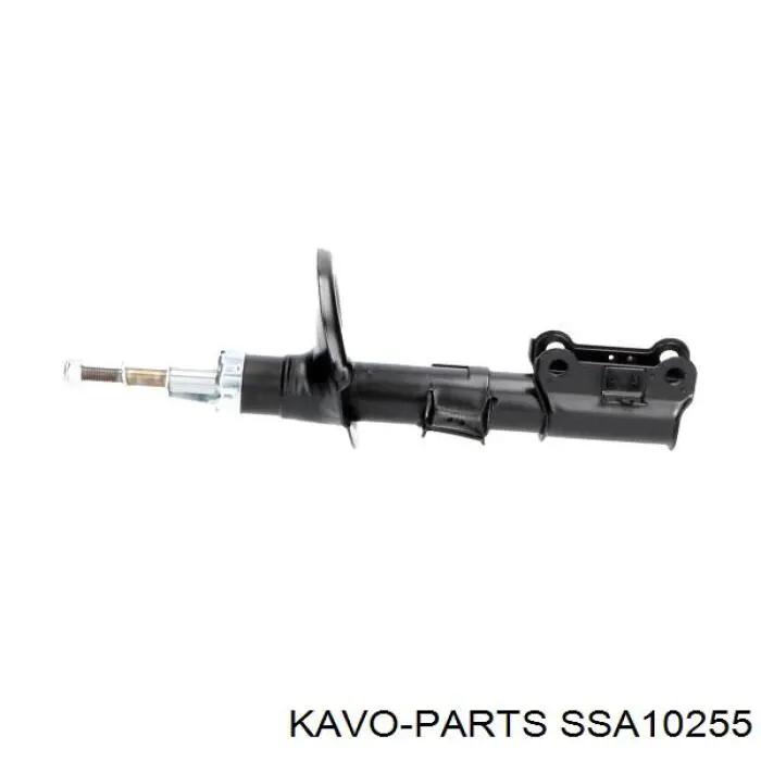 SSA-10255 Kavo Parts amortiguador delantero