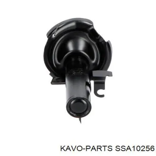 SSA-10256 Kavo Parts amortiguador delantero derecho