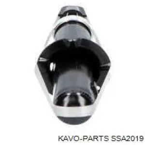 Amortiguadores traseros Kavo Parts SSA2019