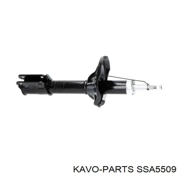 SSA-5509 Kavo Parts amortiguador delantero