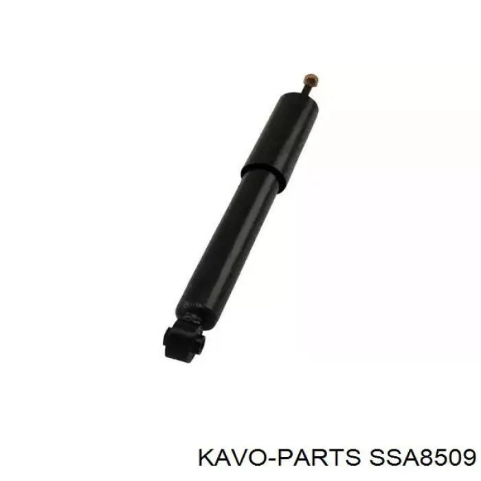 Amortiguadores traseros Kavo Parts SSA8509