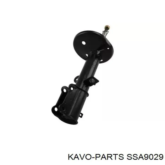 SSA-9029 Kavo Parts amortiguador delantero izquierdo