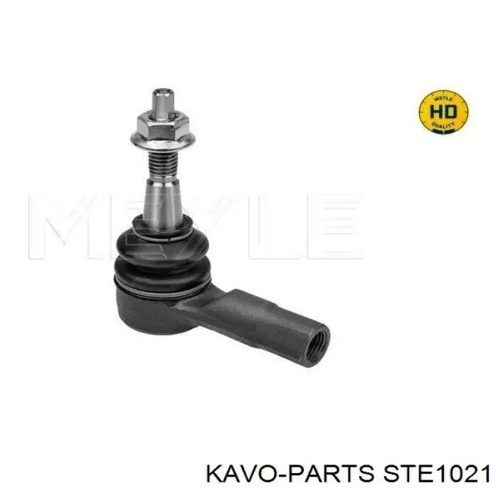 STE1021 Kavo Parts rótula barra de acoplamiento exterior