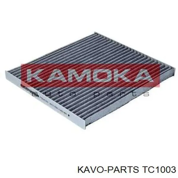 TC1003 Kavo Parts Filtro antipolen