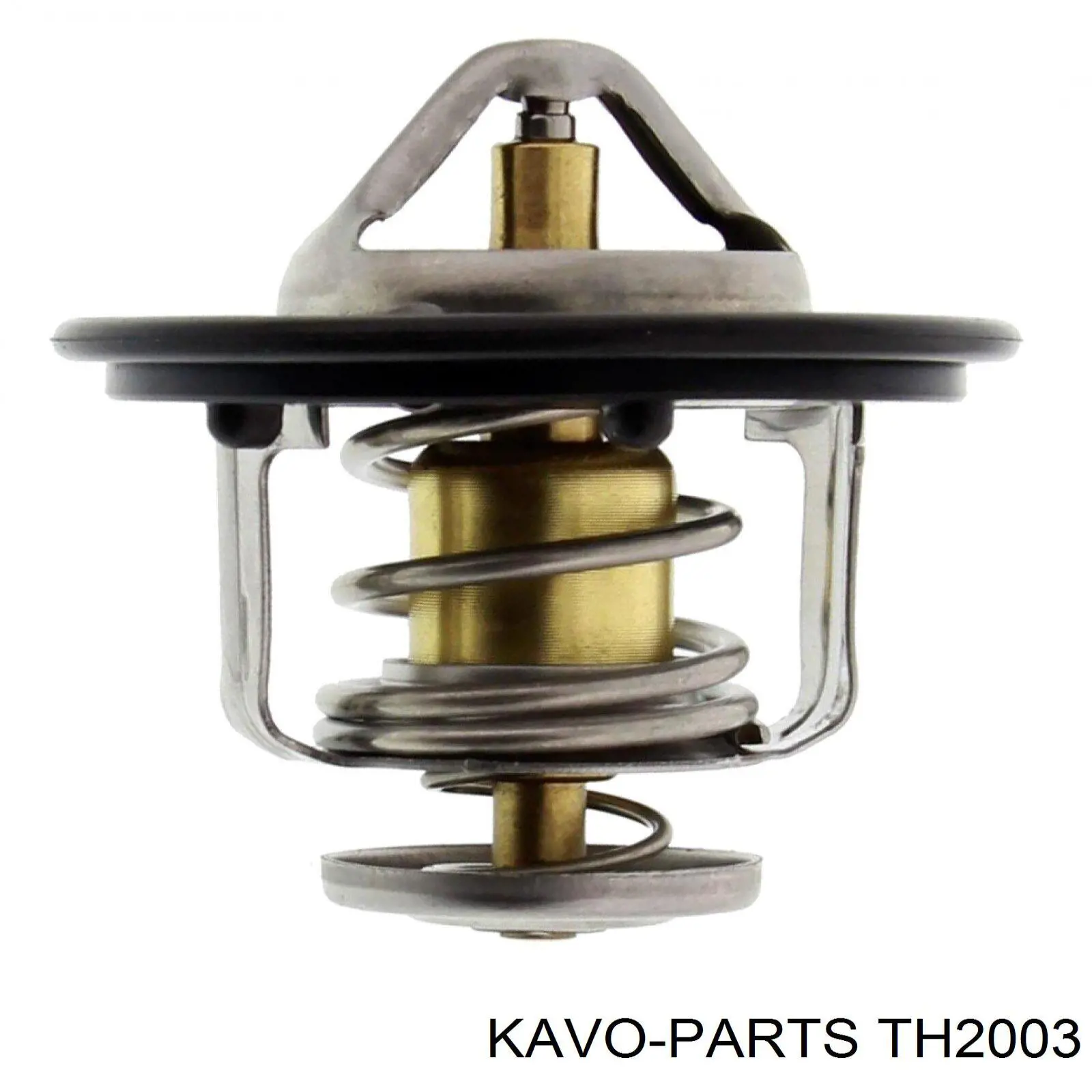 TH-2003 Kavo Parts termostato