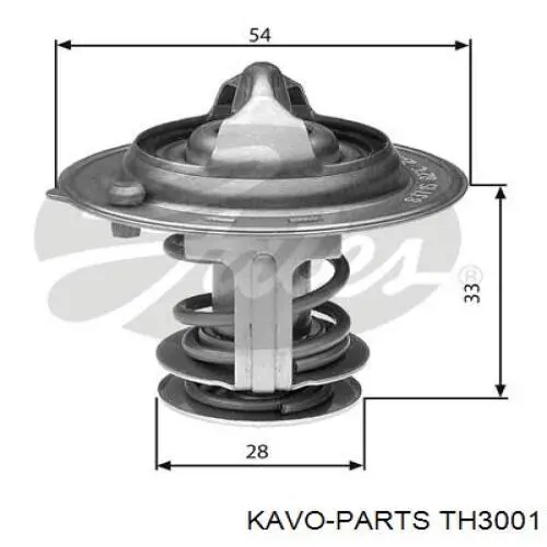 TH3001 Kavo Parts termostato