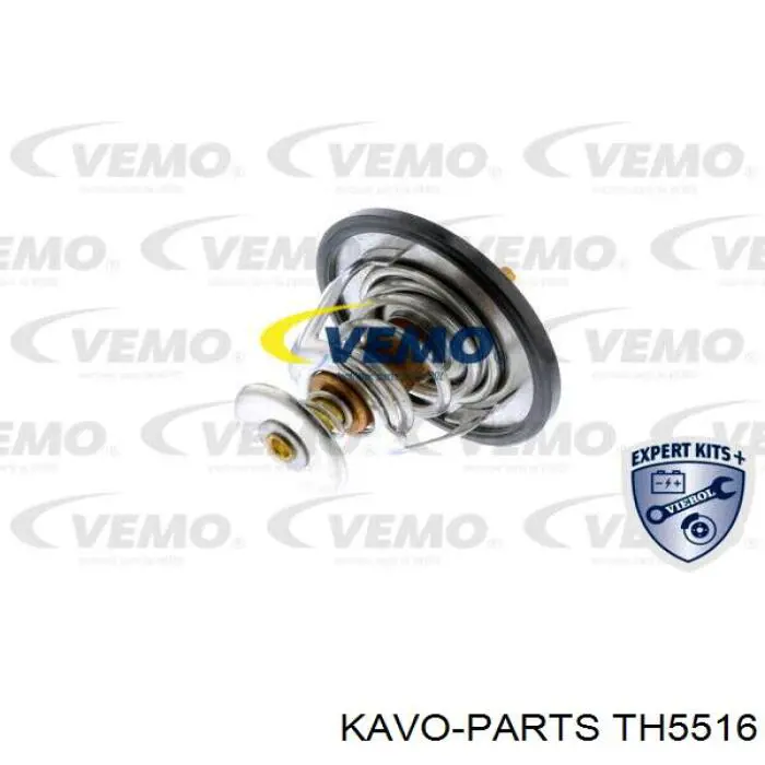 TH5516 Kavo Parts termostato, refrigerante