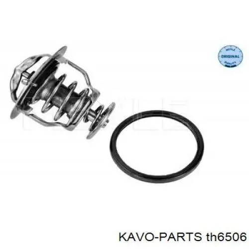 Termostato, refrigerante Nissan Sunny 3 N14