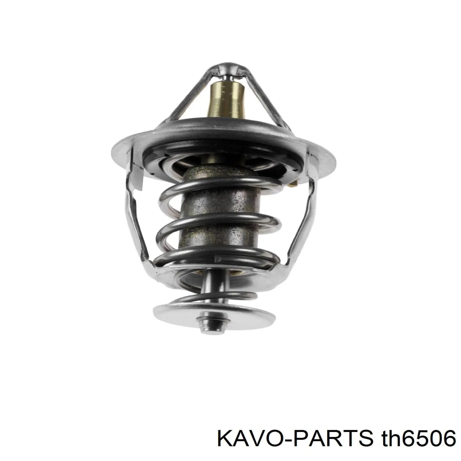 Termostato, refrigerante Nissan Sunny 3 N14