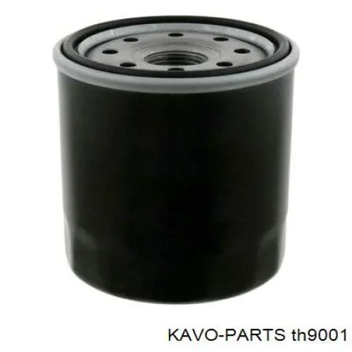 Termostato, refrigerante Nissan Sunny 3 N14