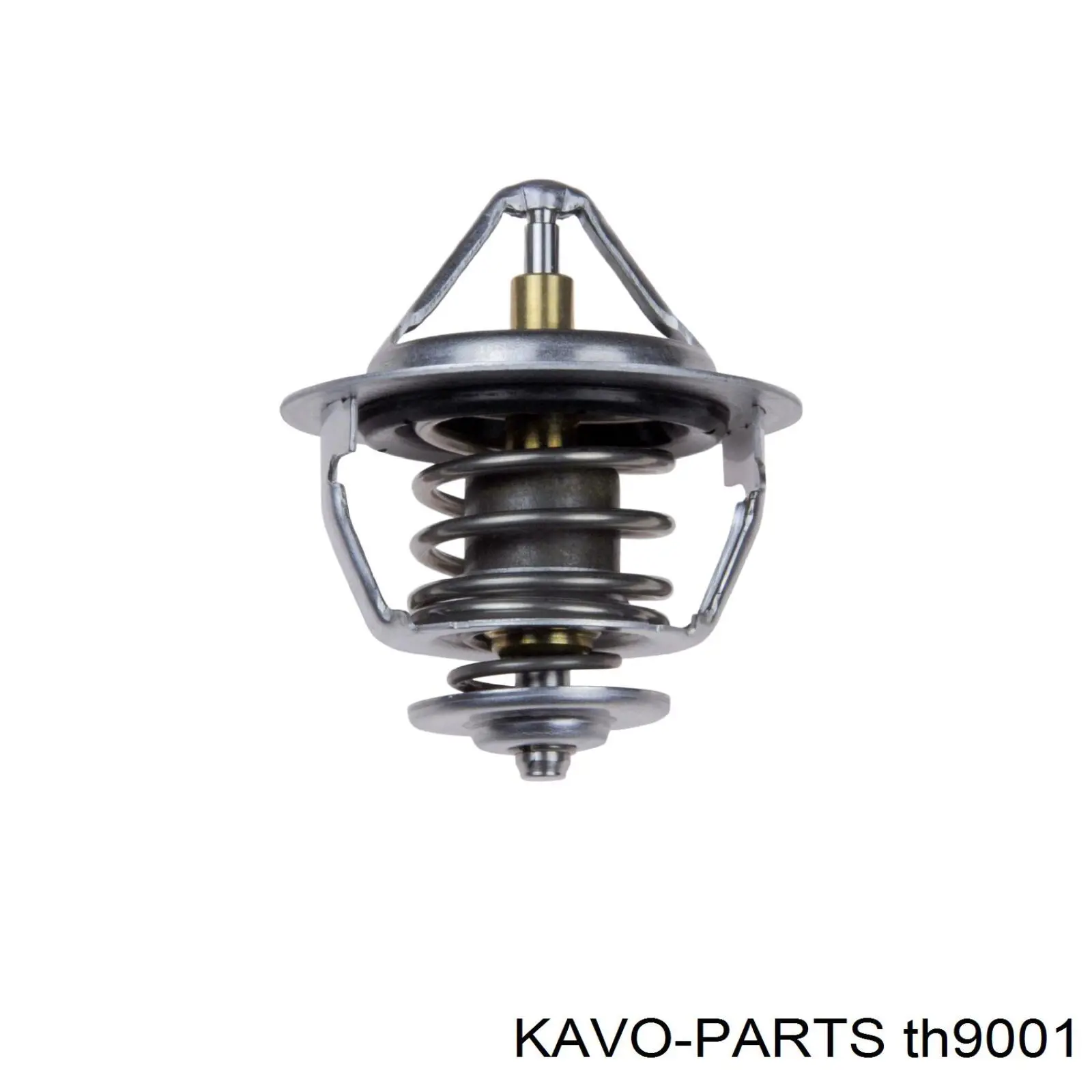 Termostato, refrigerante Nissan Sunny 3 N14